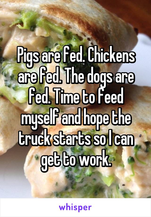 Pigs are fed. Chickens are fed. The dogs are fed. Time to feed myself and hope the truck starts so I can get to work.