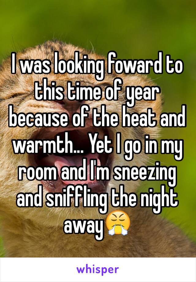 I was looking foward to this time of year because of the heat and warmth... Yet I go in my room and I'm sneezing and sniffling the night away😤