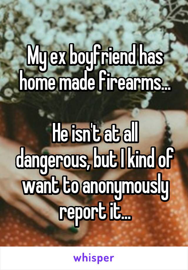 My ex boyfriend has home made firearms...

He isn't at all dangerous, but I kind of want to anonymously report it...