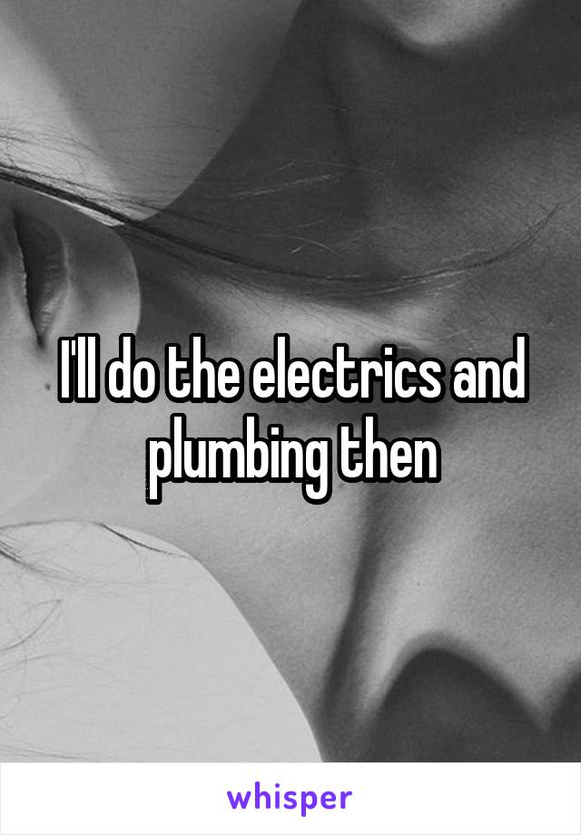 I'll do the electrics and plumbing then