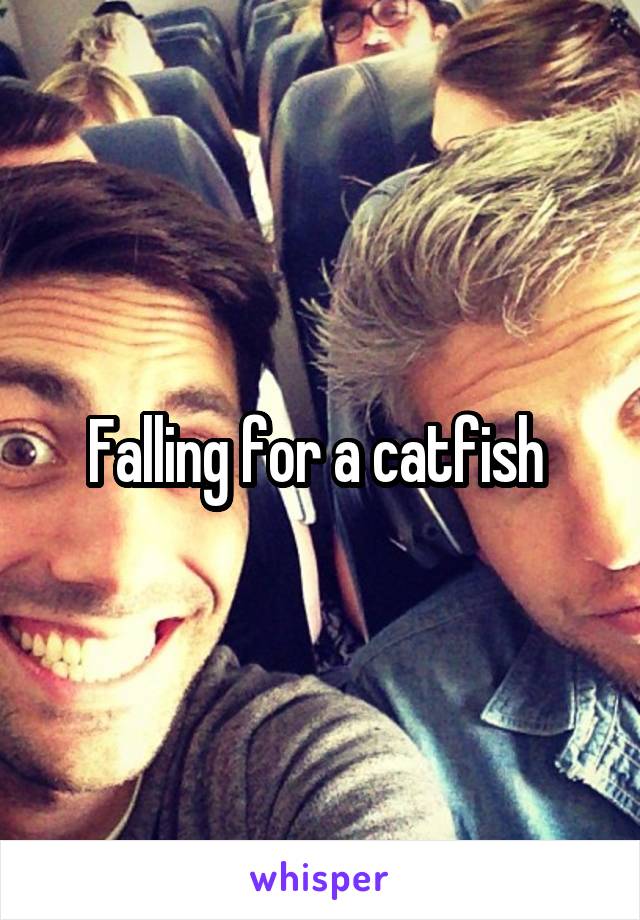 Falling for a catfish 