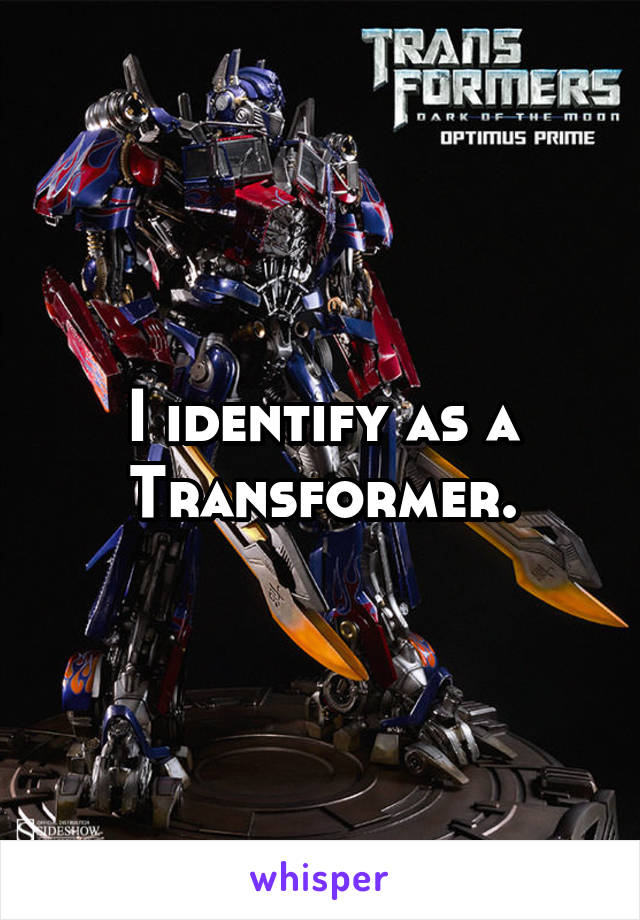 I identify as a Transformer.