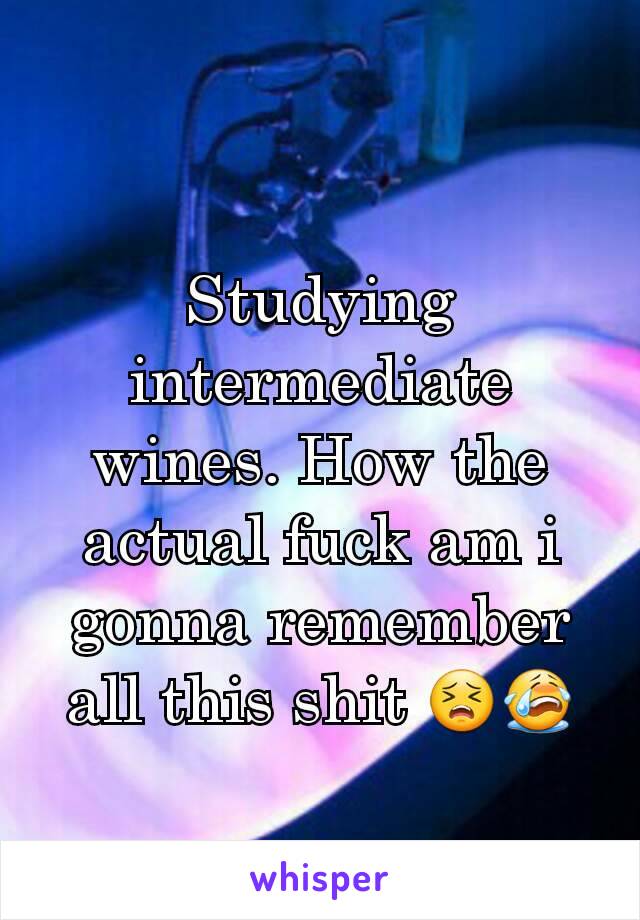 Studying intermediate wines. How the actual fuck am i gonna remember all this shit 😣😭