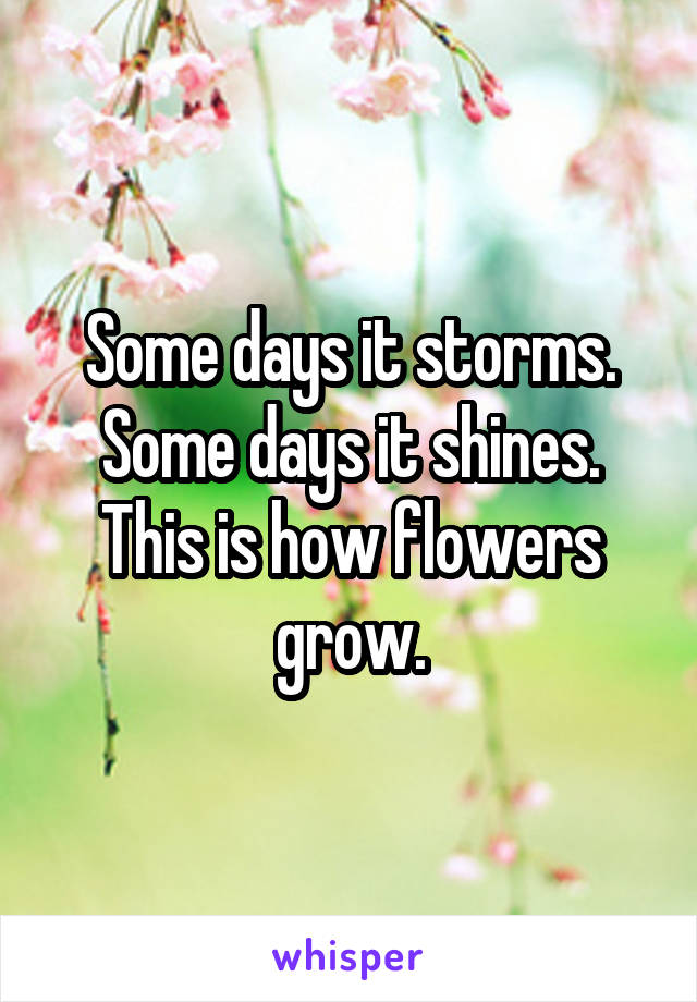 Some days it storms.
Some days it shines.
This is how flowers grow.