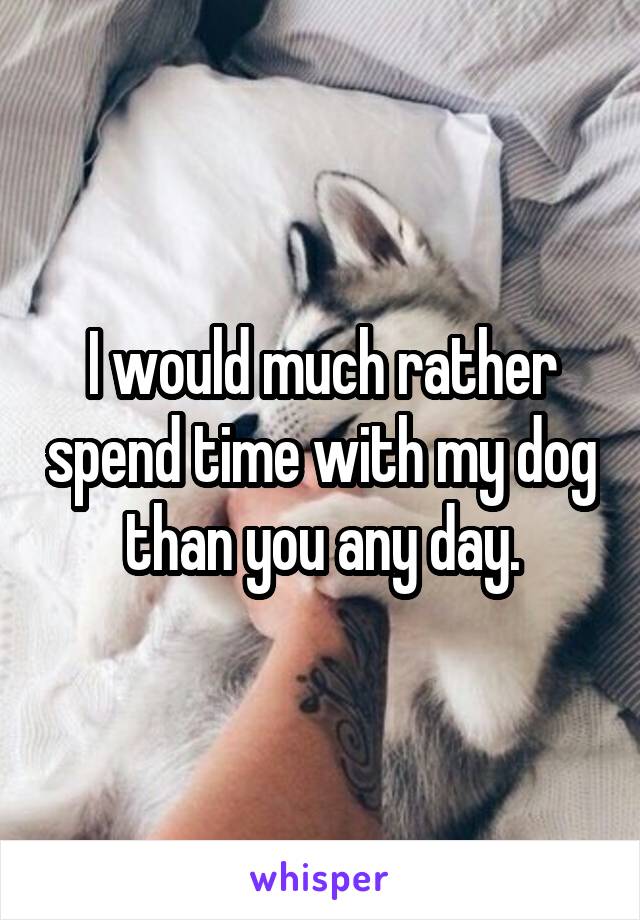 I would much rather spend time with my dog than you any day.