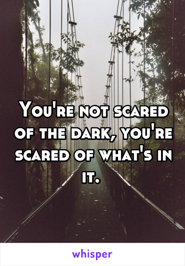  
You're not scared of the dark, you're scared of what's in it. 