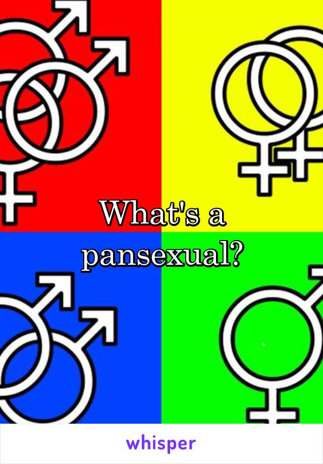 What's a pansexual?