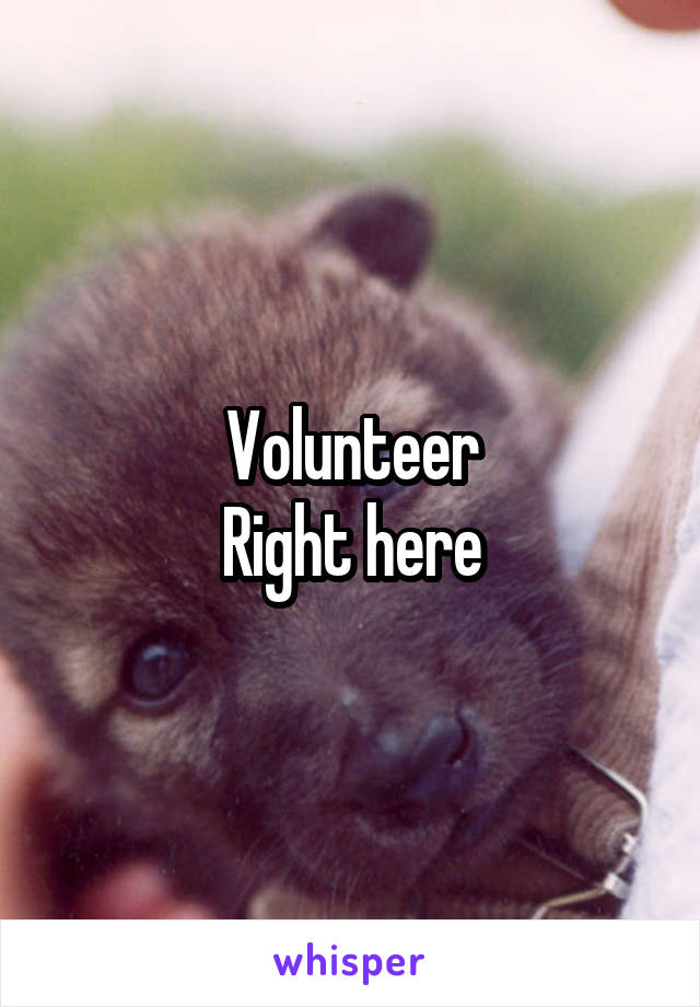 Volunteer
Right here