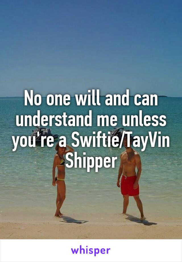 No one will and can understand me unless you're a Swiftie/TayVin Shipper