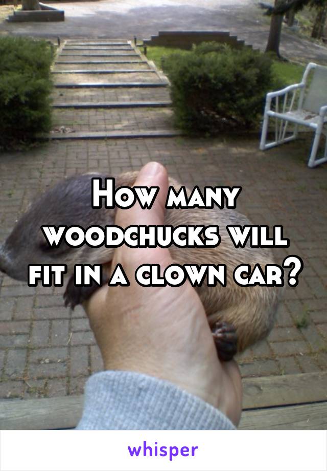 How many woodchucks will fit in a clown car?