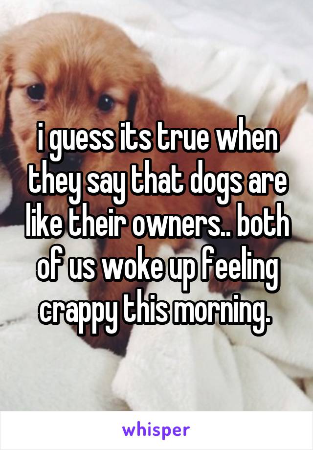 i guess its true when they say that dogs are like their owners.. both of us woke up feeling crappy this morning. 