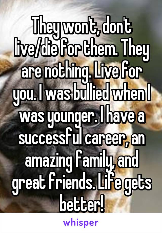 They won't, don't live/die for them. They are nothing. Live for you. I was bullied when I was younger. I have a successful career, an amazing family, and great friends. Life gets better!