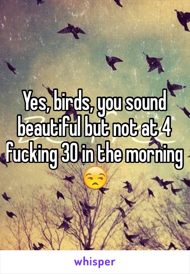 Yes, birds, you sound beautiful but not at 4 fucking 30 in the morning 😒