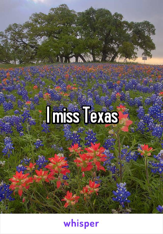 I miss Texas