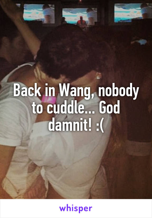 Back in Wang, nobody to cuddle... God damnit! :(