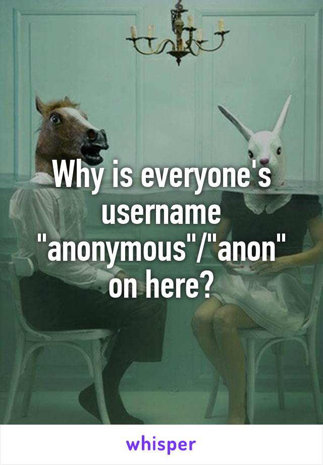 Why is everyone's username "anonymous"/"anon" on here?