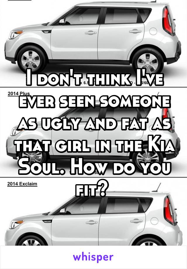 I don't think I've ever seen someone as ugly and fat as that girl in the Kia Soul. How do you fit? 