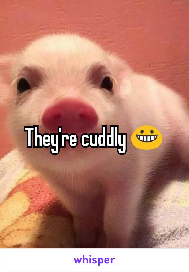 They're cuddly 😀