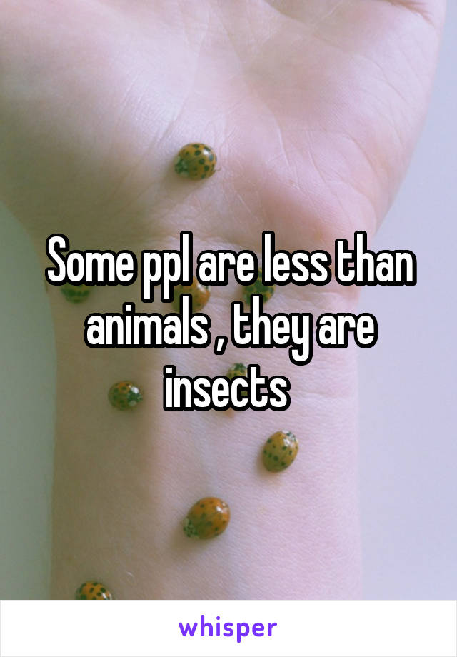 Some ppl are less than animals , they are insects 