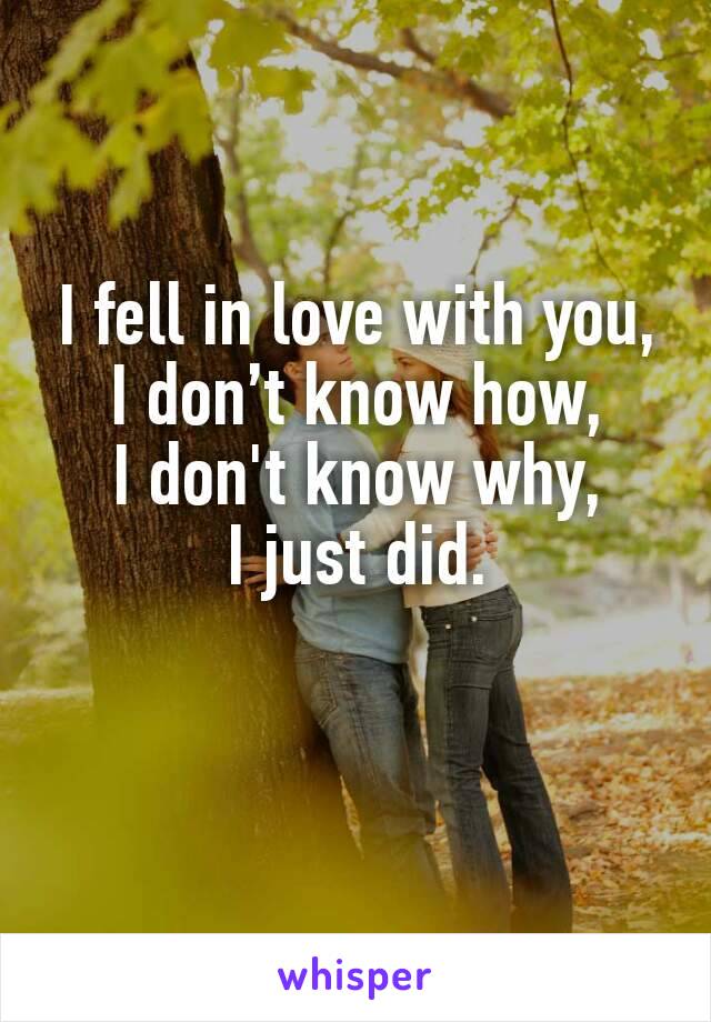 I fell in love with you,
I don’t know how,
I don't know why,
I just did.