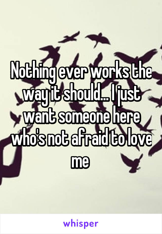 Nothing ever works the way it should... I just want someone here who's not afraid to love me 