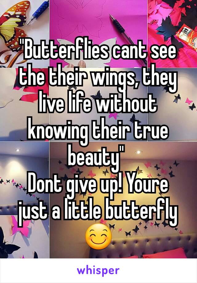 "Butterflies cant see the their wings, they live life without knowing their true beauty" 
Dont give up! Youre just a little butterfly 😊