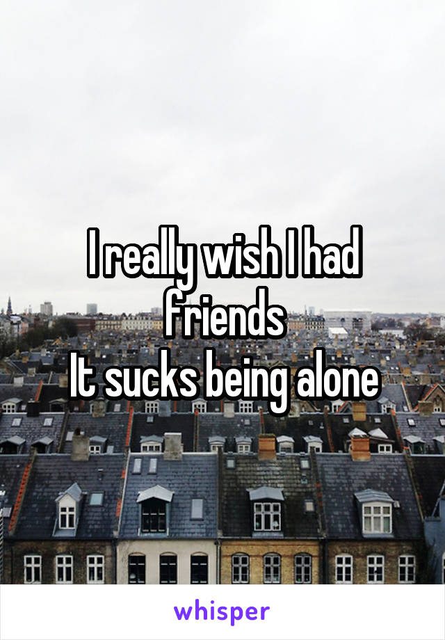 I really wish I had friends
It sucks being alone