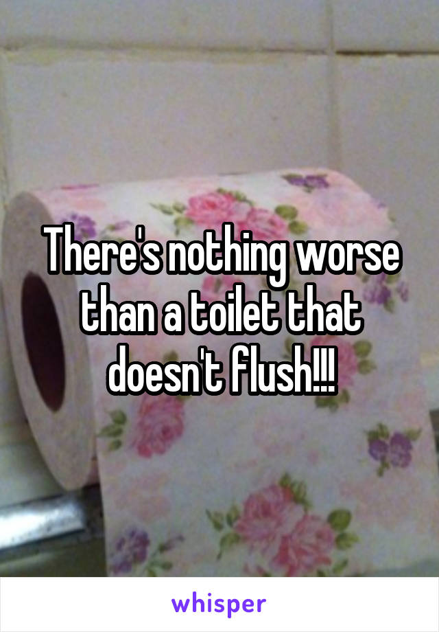 There's nothing worse than a toilet that doesn't flush!!!