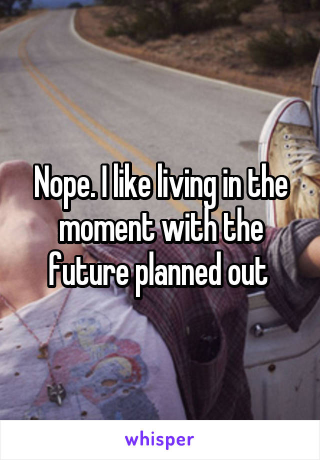 Nope. I like living in the moment with the future planned out 