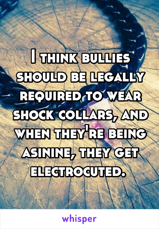 I think bullies should be legally required to wear shock collars, and when they're being asinine, they get electrocuted. 