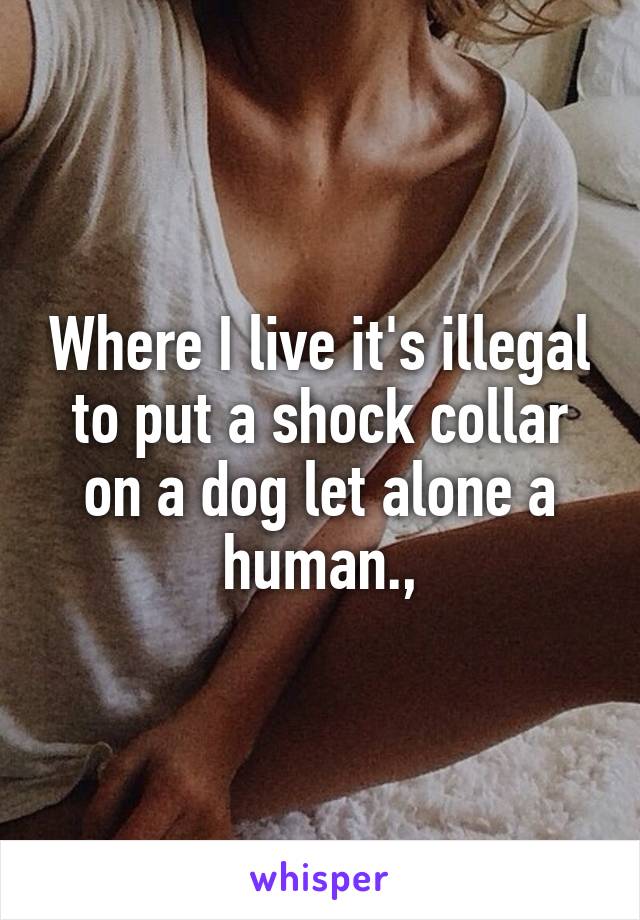 Where I live it's illegal to put a shock collar on a dog let alone a human.,