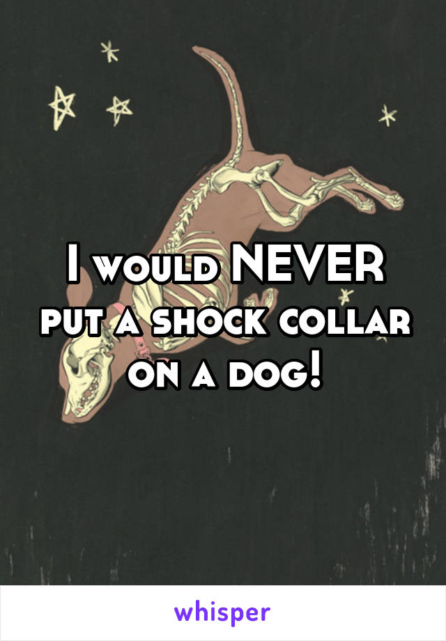 I would NEVER put a shock collar on a dog!