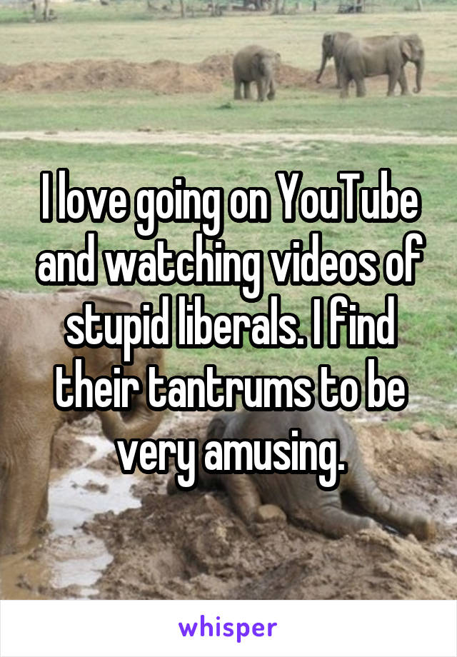 I love going on YouTube and watching videos of stupid liberals. I find their tantrums to be very amusing.