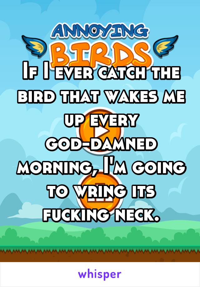 If I ever catch the bird that wakes me up every god-damned morning, I'm going to wring its fucking neck.