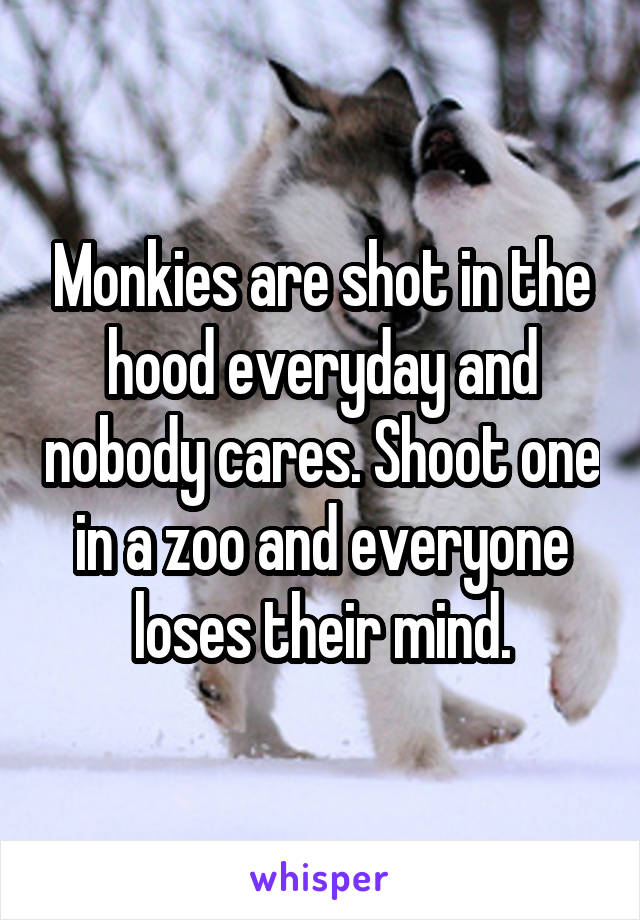 Monkies are shot in the hood everyday and nobody cares. Shoot one in a zoo and everyone loses their mind.