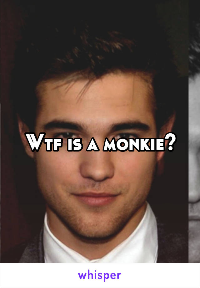 Wtf is a monkie?