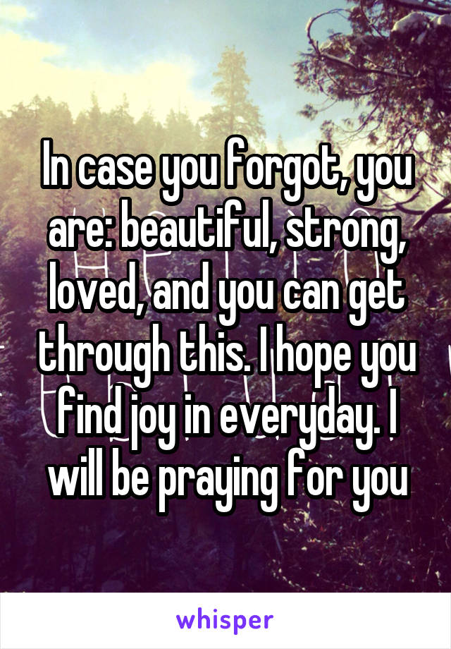 In case you forgot, you are: beautiful, strong, loved, and you can get through this. I hope you find joy in everyday. I will be praying for you