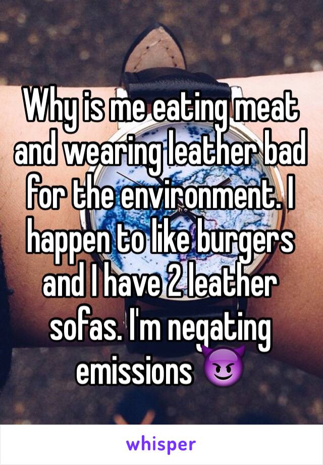 Why is me eating meat and wearing leather bad for the environment. I happen to like burgers and I have 2 leather sofas. I'm negating emissions 😈