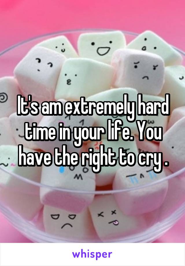 It's am extremely hard time in your life. You have the right to cry .