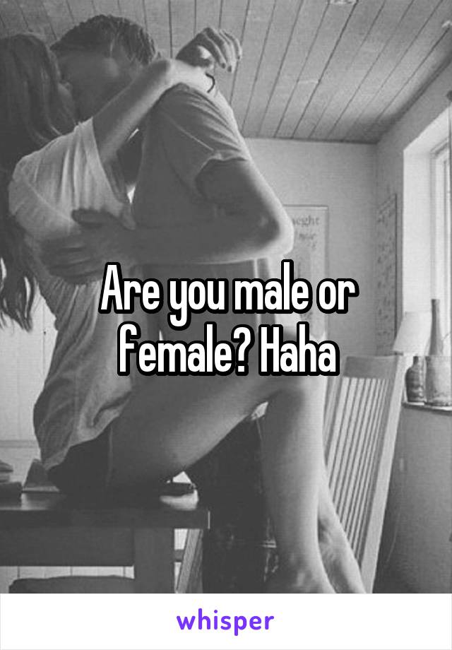 Are you male or female? Haha