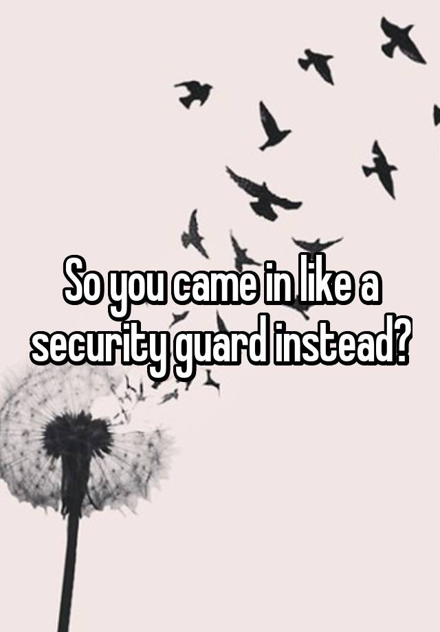 so-you-came-in-like-a-security-guard-instead