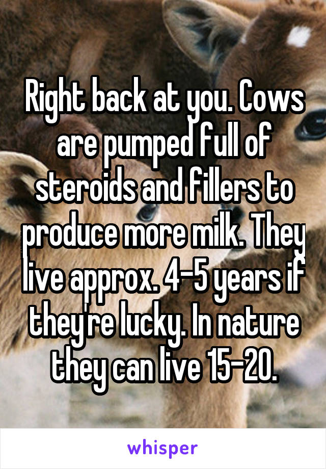 Right back at you. Cows are pumped full of steroids and fillers to produce more milk. They live approx. 4-5 years if they're lucky. In nature they can live 15-20.