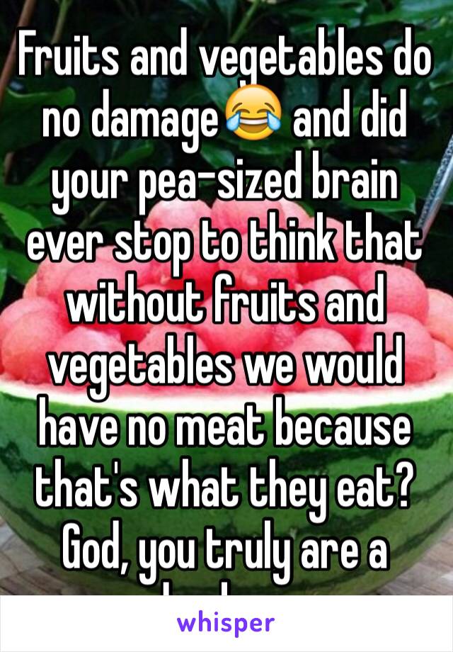 Fruits and vegetables do no damage😂 and did your pea-sized brain ever stop to think that without fruits and vegetables we would have no meat because that's what they eat? God, you truly are a dumbass