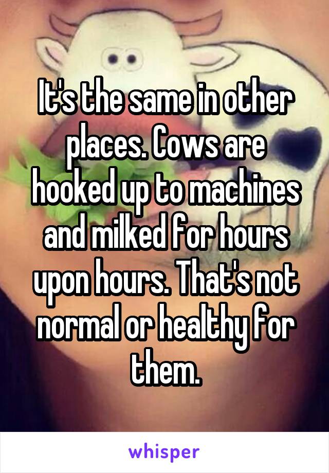 It's the same in other places. Cows are hooked up to machines and milked for hours upon hours. That's not normal or healthy for them.