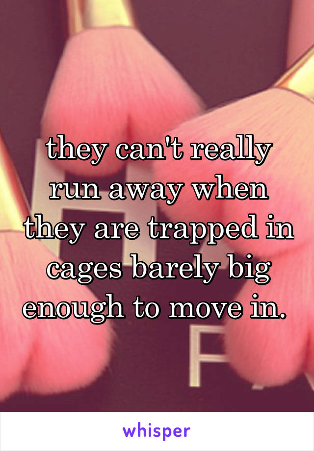 they can't really run away when they are trapped in cages barely big enough to move in. 