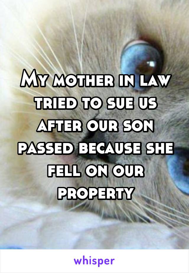 My mother in law tried to sue us after our son passed because she fell on our property