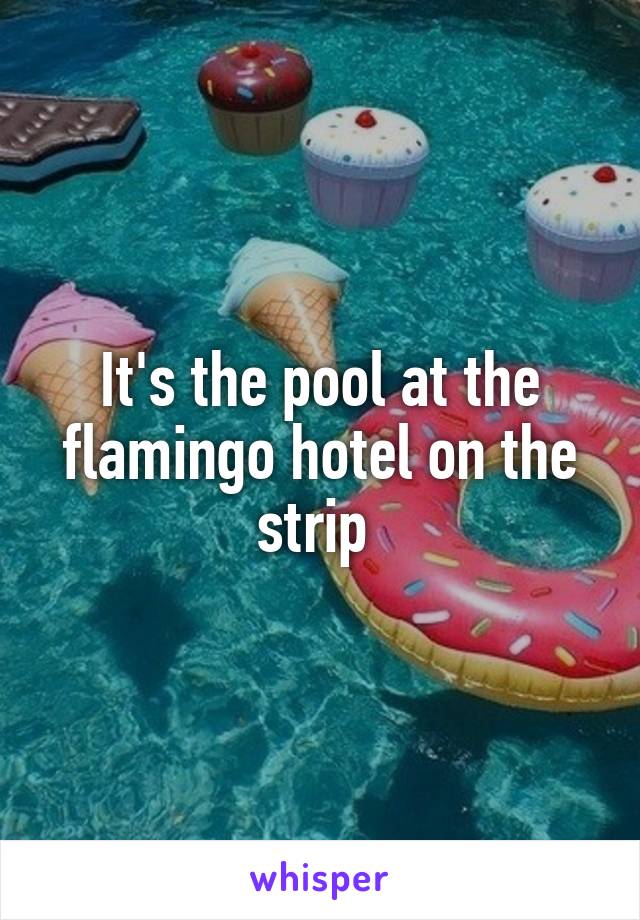 It's the pool at the flamingo hotel on the strip 