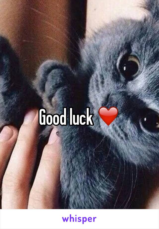 Good luck ❤️