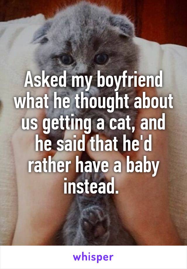 Asked my boyfriend what he thought about us getting a cat, and he said that he'd rather have a baby instead. 
