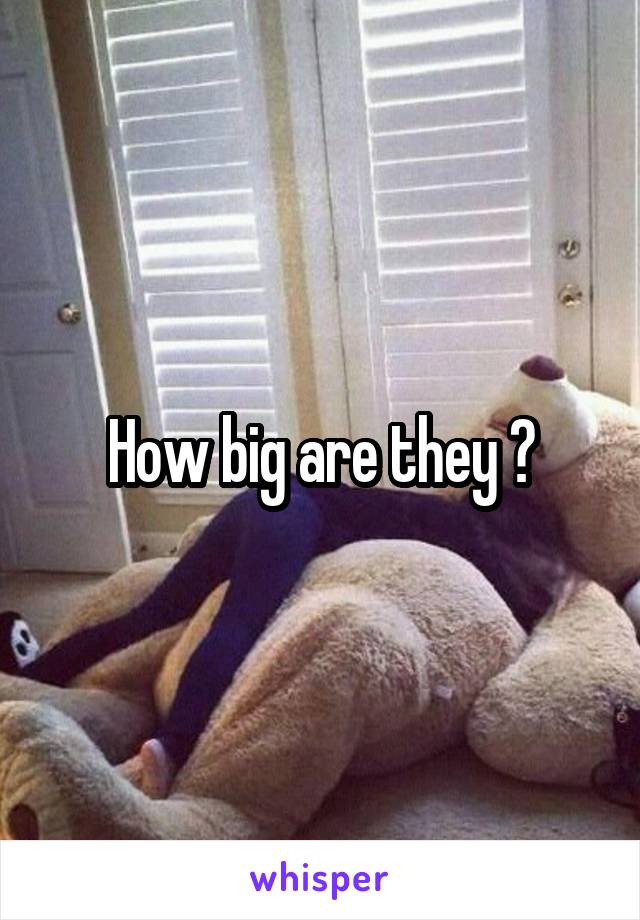 How big are they ?